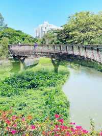 我宣布！ 大沙河生態公園是深圳公園的天花板！