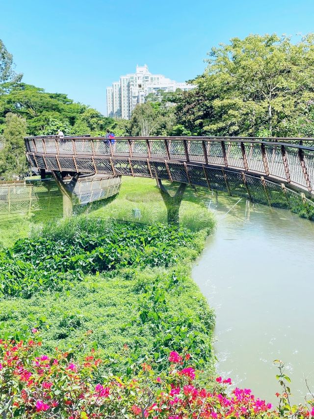我宣布！ 大沙河生態公園是深圳公園的天花板！