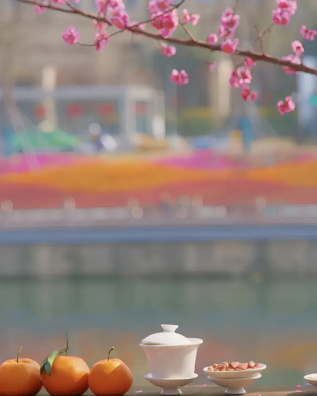 成都賞梅的天花板！！！。