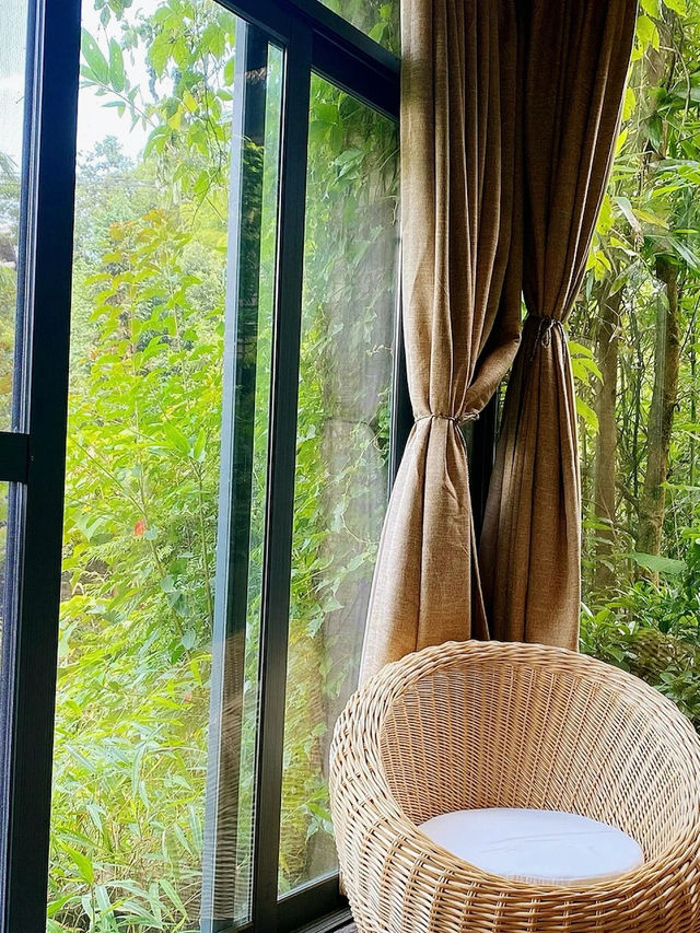 炎炎夏日，來大明山腳下的民宿享受寧靜與清涼