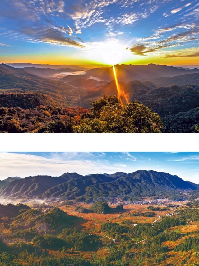 記住鄉愁的空山天盆