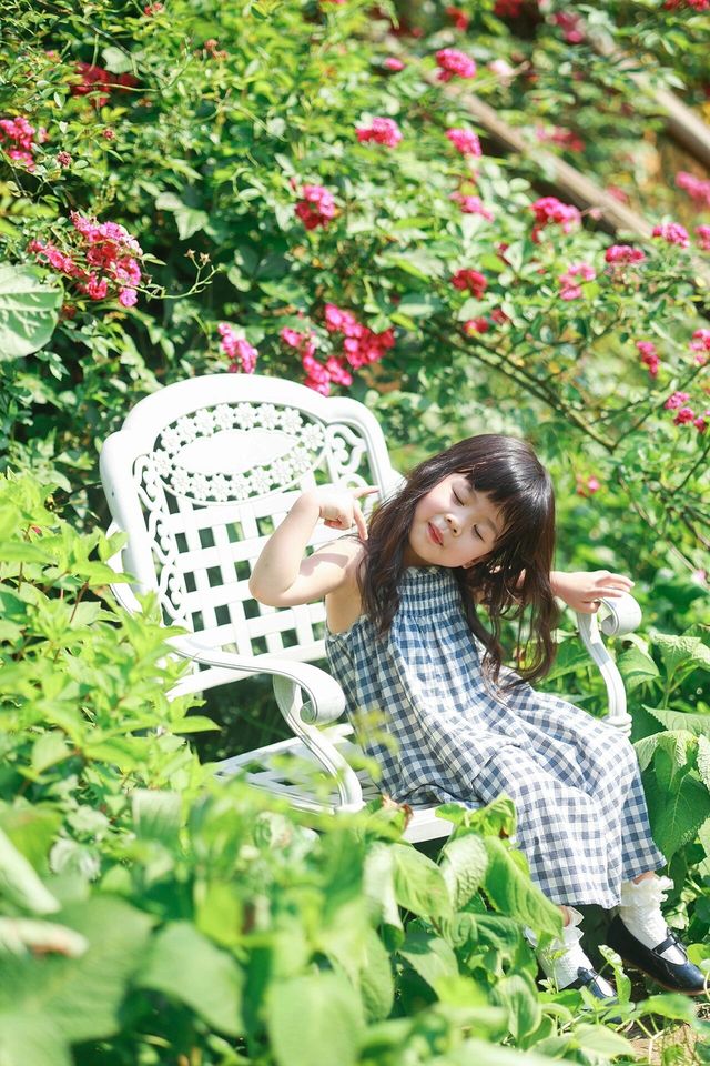 長沙夏天也能賞花這3個地方能遛娃還出片
