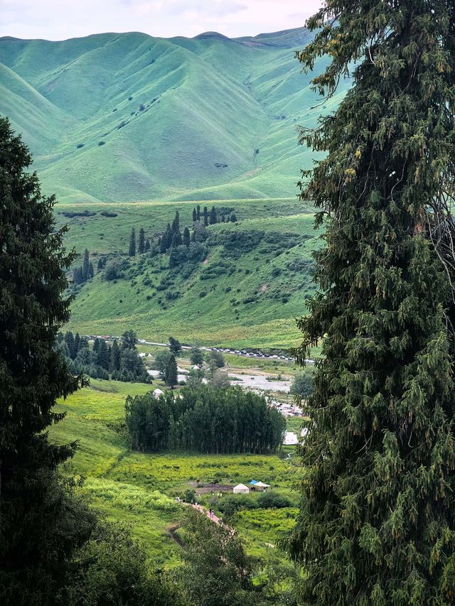恰西森林公園:秘境中的綠色寶藏。 恰西森林公園:秘境中的綠色寶藏。