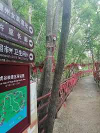 沈陽自駕桓仁~虎谷峽