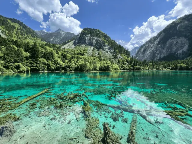 Chengdu, Jiuzhaigou, take shelter from the storm! Take shelter!!
