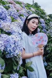 東京舊中川 | 晴空塔下紫陽花開滿河岸