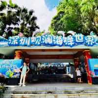 打卡深圳觀瀾海洋世界