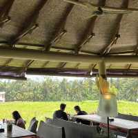 10 Epic Things to Do in Bali🌴🌊🍹