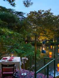 🌴🏨 Sri Lanka's Scenic Stay: Cinnamon Lodge Habarana 🐒🌄