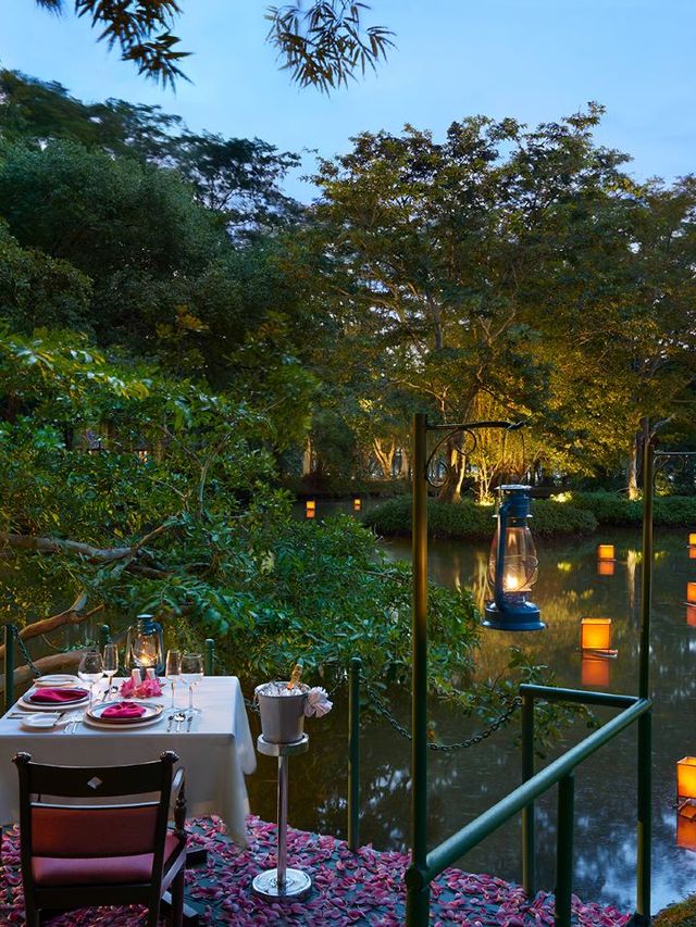 🌴🏨 Sri Lanka's Scenic Stay: Cinnamon Lodge Habarana 🐒🌄