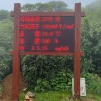 8月初的神農架，很美很涼爽，但是來前請三思