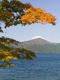 🌟 Hakone Haven: Serene Views & Hot Springs 🏔️🛁