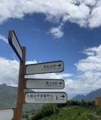 心心念念的麗水雲和梯田