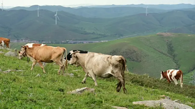 초원의 길 자연 예술 경치구 산 정상에서 본 계단식 논과 마을