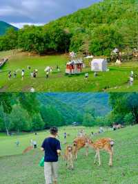 伊春全境游