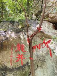 帶娃的避暑聖地
