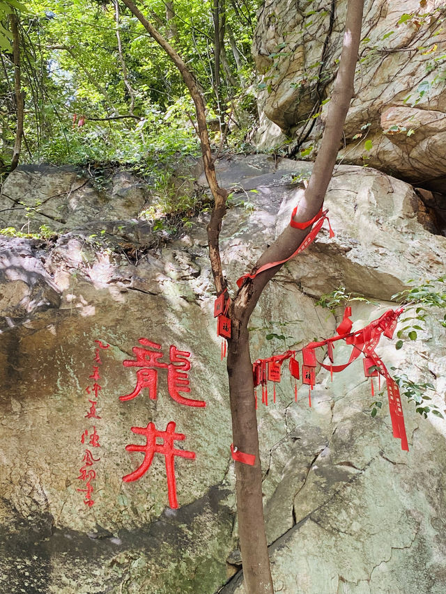 帶娃的避暑聖地