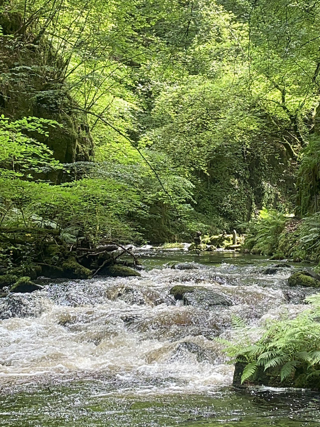 A Hidden Gem in Southwest of Scotland 🏴󠁧󠁢󠁳󠁣󠁴󠁿 