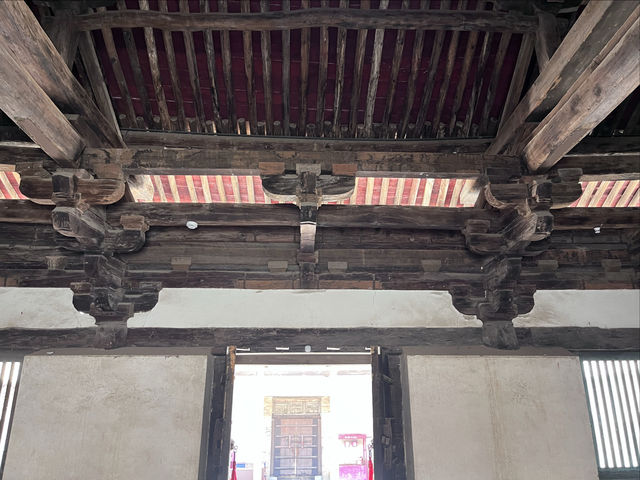 再遊崇明寺。