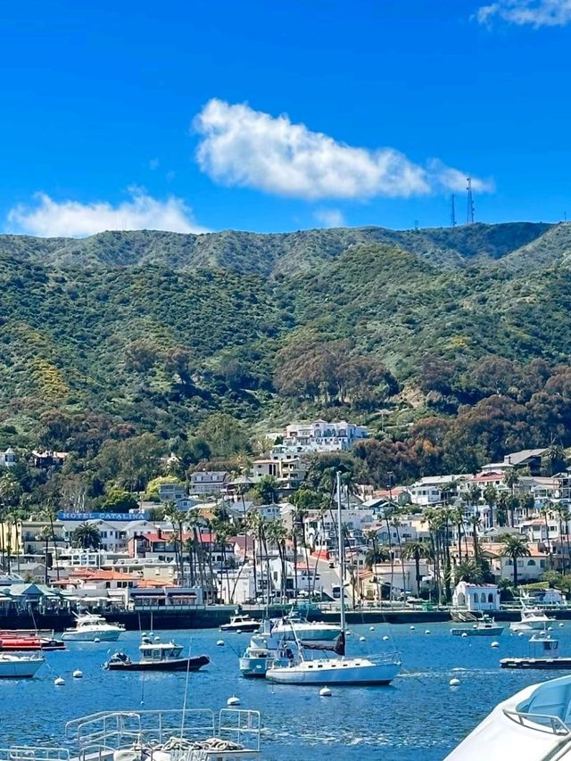 Catalina island is LA is Mesmerizing❤️🥰✨