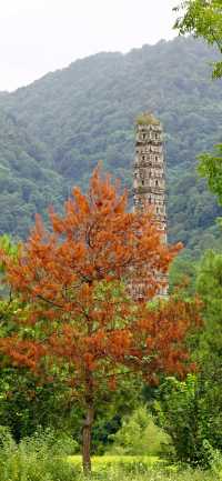 微雨天遊覽國清寺,以下是一些小貼士。