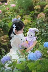 洱海邊的花園民宿—大理時光漫步海景客棧。