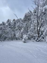 澳洲佛斯奎克真係太適合滑雪啦。