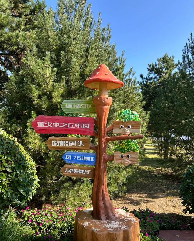 煙台寶媽的遛娃好去處，現實版莫奈花園。