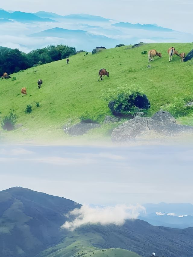 和最愛的人一起看日出雲海。
