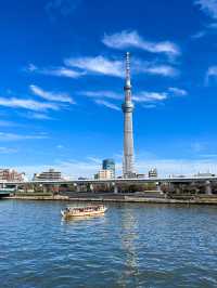 東京景點｜隅田公園：賞櫻與花火大會的勝地