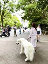 《🇯🇵 東京上野恩賜公園悠閑景點推介🌟》