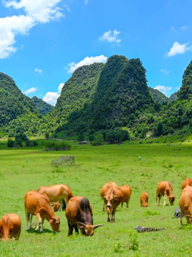 "中國最美地質公園"！美得令人驚嘆！
