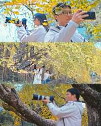 廣東唯一的秋天在這裡——南雄坪田銀杏古村。