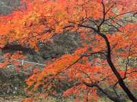 遼寧本溪關門山｜中國楓葉之都。