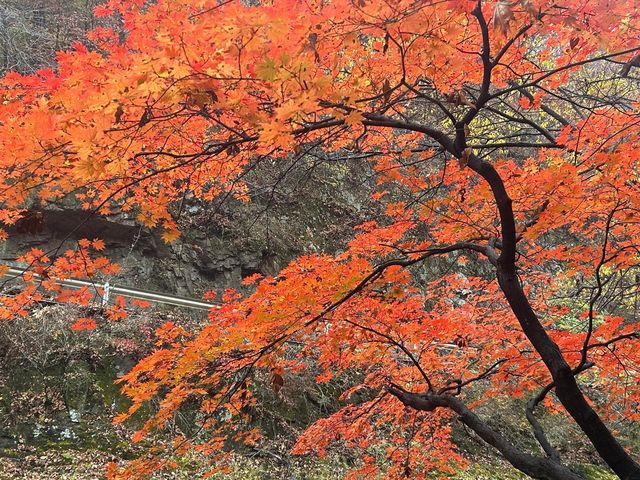 遼寧本溪關門山｜中國楓葉之都。
