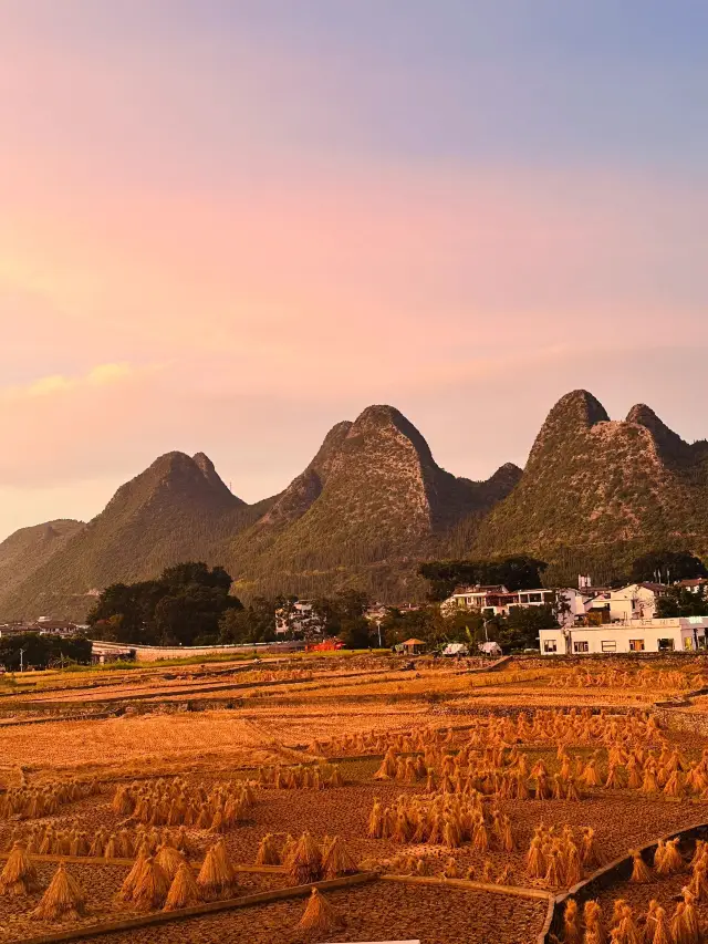 I spent 8 days visiting Tuole Ancient Ginkgo and other places. Here are my honest thoughts. 