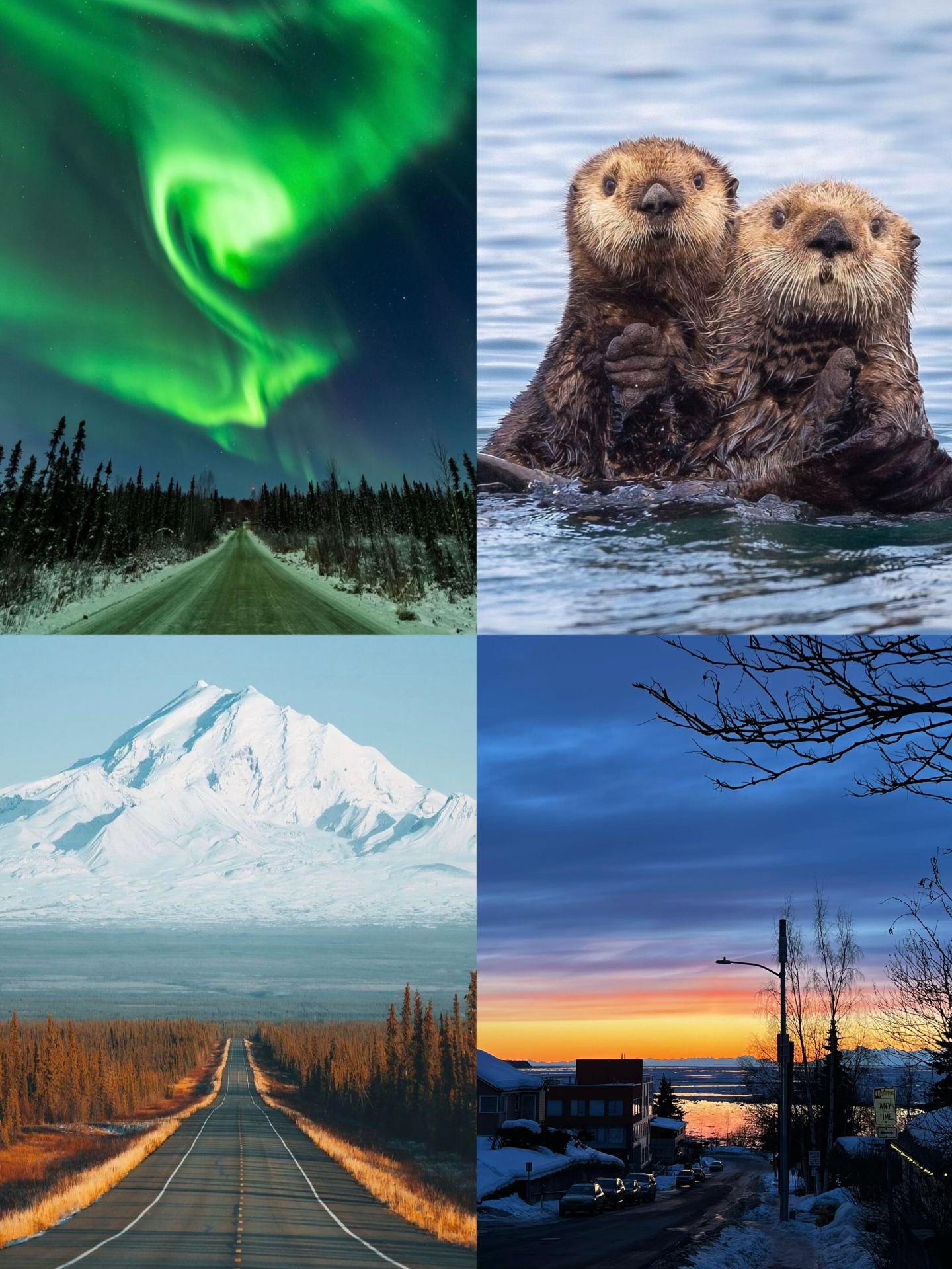 Anchorage | Tur Aurora di Alam Liar Alaska
