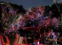 東京小眾賞楓名所「京王百草園」紅葉祭來了。