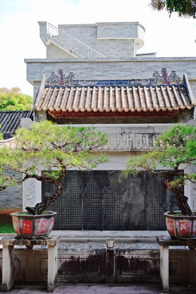碧江。