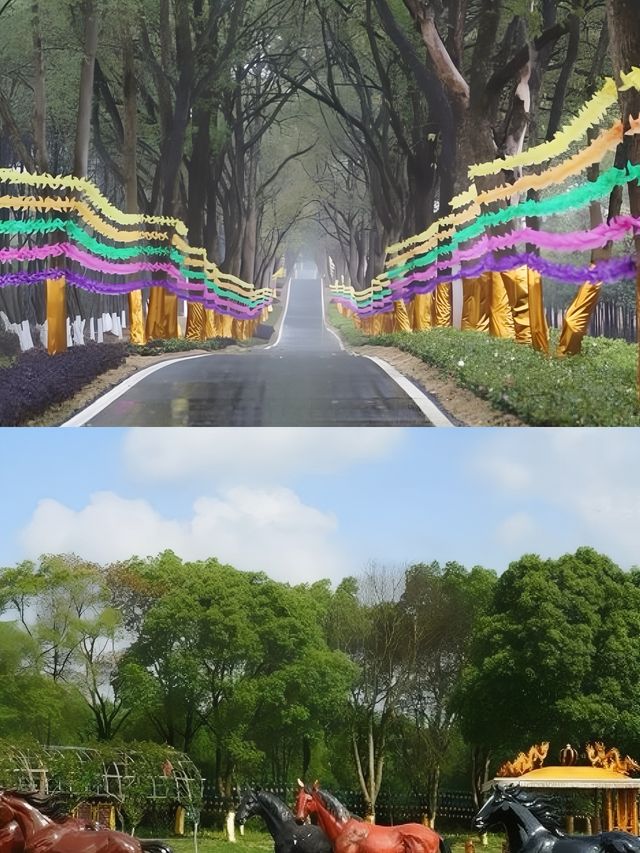 探索宜春隱藏景點——江西百峰嶺。