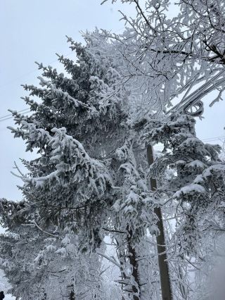 寶雞鳳縣嶺南公園|乘坐秦嶺小火車來看雪。