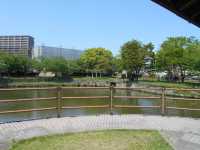 探訪鳥栖的綠色心臟——鳥栖中央公園。