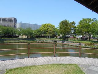 探訪鳥栖的綠色心臟——鳥栖中央公園。