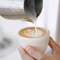 Best coffee & food