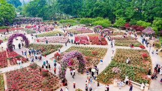 Qingshan District Peace Park. 