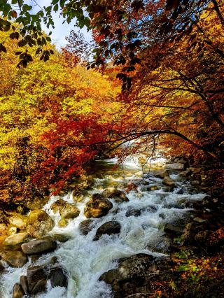 3 Days in Bazhong: Fall in Love with the Autumn Scenery