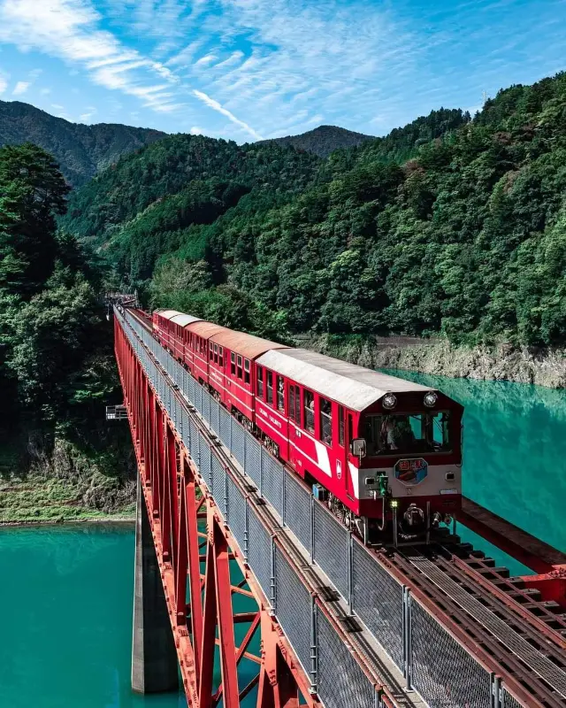 靜岡風情：茶香四溢，溫泉暖心。