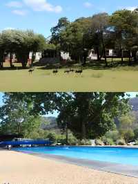【霍爾斯山谷湖濱假日公園 | 隱於山水間的夢幻之旅