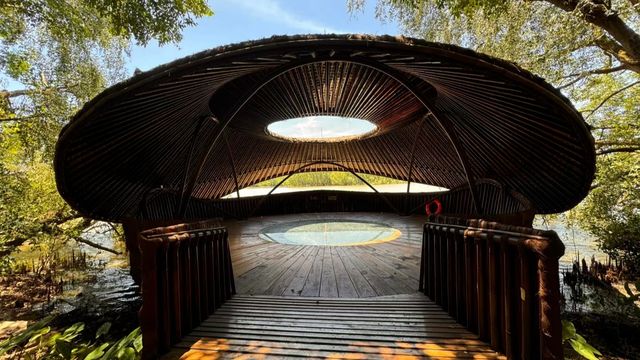 廣州南沙濕地公園｜最美濕地公園讓我們一起拍個美美的照片