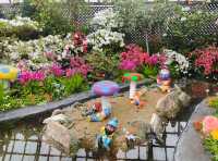 芝加哥林肯公園溫室植物園：自然的魅力之旅